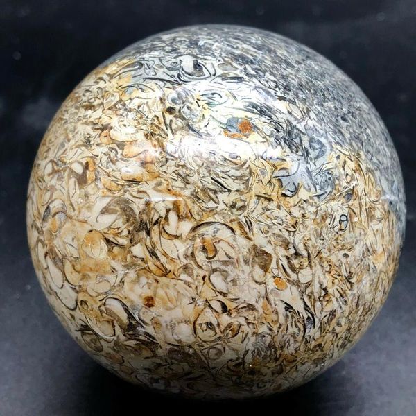 

decorative objects & figurines natural fossil sphere crystal ball madagascar stone healing