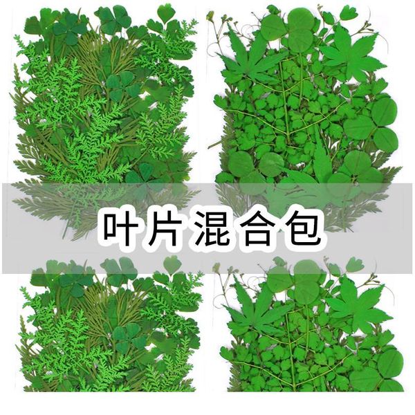 

leaf combination natural true dry leaf candle dry plant specimen epoxy resin jewelry making process diy jewelry jlllah