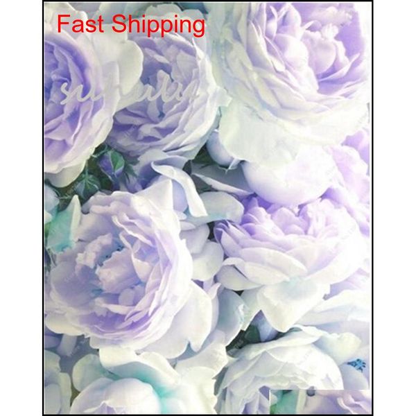

10 pcs/bag mixed color peony seeds chinese rose tree peony seeds beautiful decoration bonsai flower plant qylseg bdenet