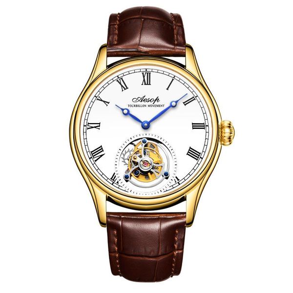 

wristwatches tourbillon watch automatic mechanical sapphire mirror men watches high-end personality clock male, Slivery;brown
