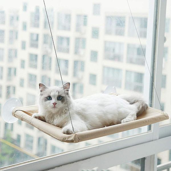 

cat beds & furniture cats hammock cute hanging bearing 20kg pet space saving comfortable sunny window seat mount bed