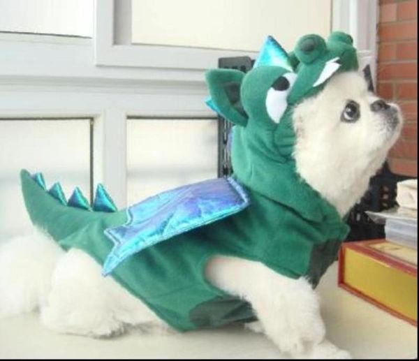 

pet cloth, t-rex, autumn cloth