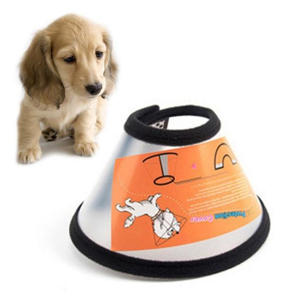 

pet collar for dgs cats puppy dog cosmetology bite proof collar pet grooming feeding accessories