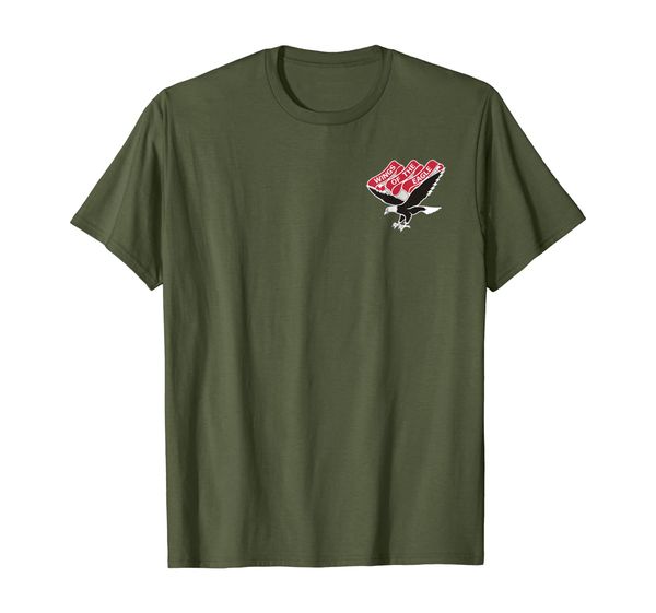 

101st Aviation Regiment Shirt, Mainly pictures