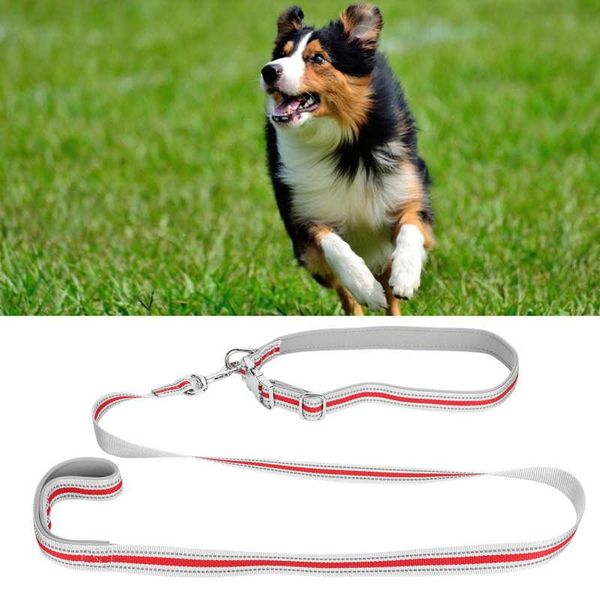 

pet dog collar reflective dog collars leashes set metal buckle engraved diving cloth pet pulling rope accessories
