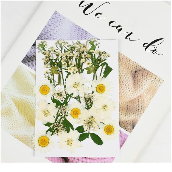 

small dried flowers pressed flower diy scrapbooking preserved flower for home wedding party decoration mini bloemen flor jllffe