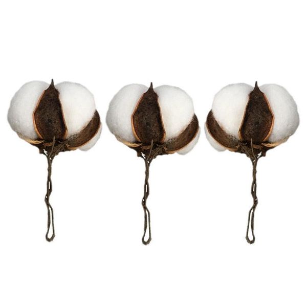 

decorative flowers & wreaths 28pcs natural white cotton ball farm style dried flower diy furniture home dining table vase wedding decoration