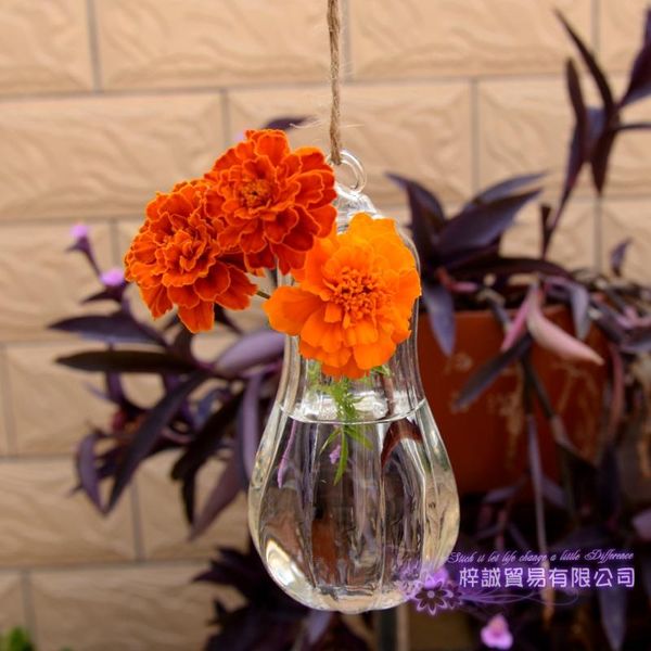 

vases christmas terrarium glass flower vase pumpkin sphere 16*8.5 cm hanging home wedding decoration transparent
