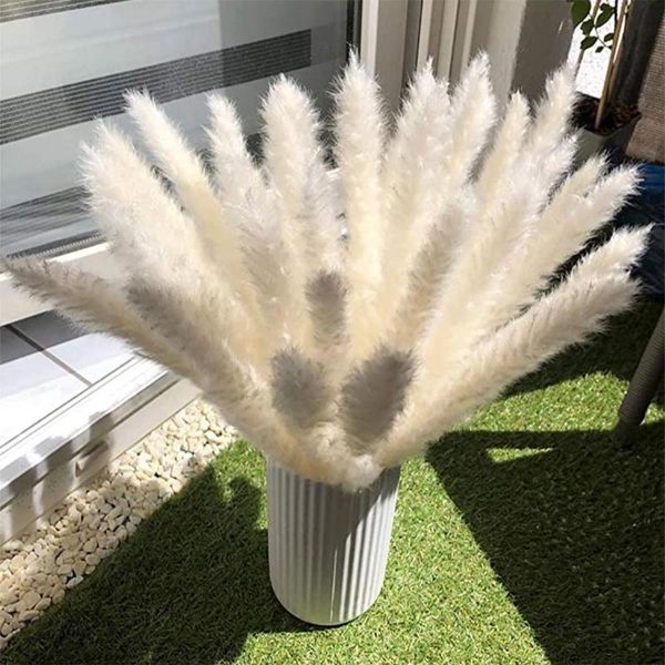 

decorative flowers & wreaths 7pcs natural dried pampas grass reed plant phragmites artificial plants wedding flower bunch home decor