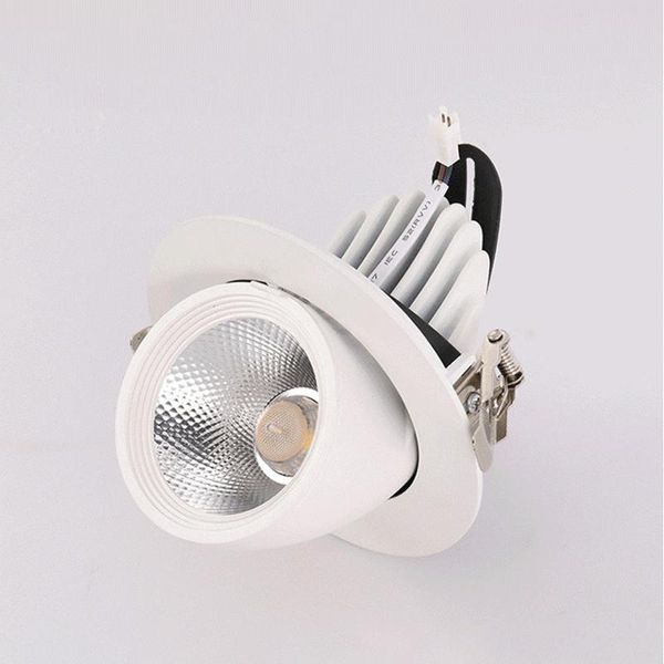 Downlights LED Trunk Light COB Gimbal 10W 15W 20 30W Warmweiß Kalt Gimble Lampe Drehbares Downlight Einstellbar