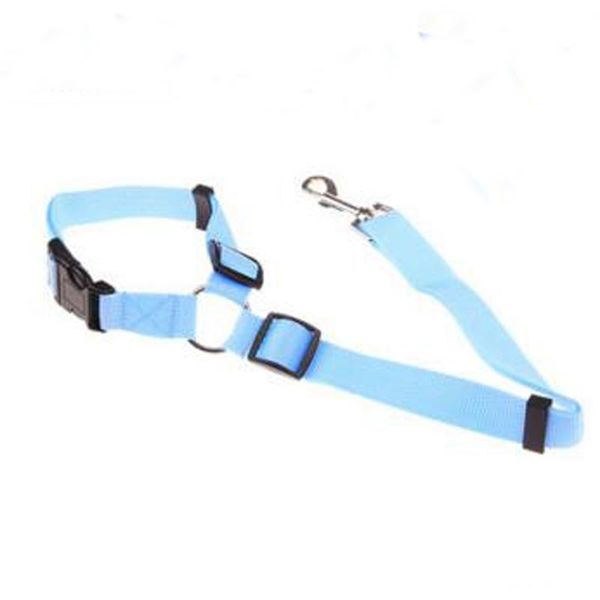 

dog collars & leashes selling 5colors leash correa de nylon para adiestramiento perro