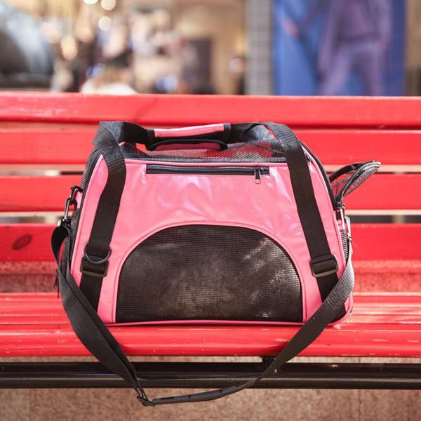 

pet bag cat bag dog backpack teddy portable travel small and medium sized dog folding travel