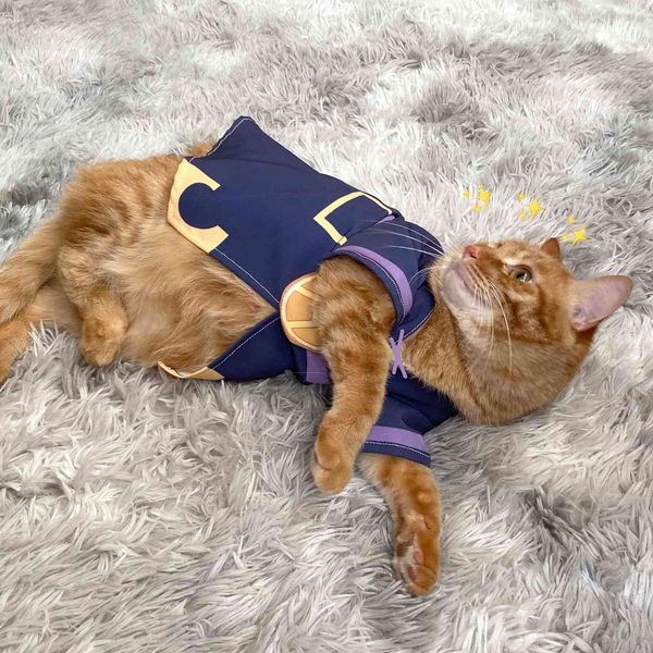 Anime Articoli per animali domestici Le bizzarre avventure di JoJo Periferiche COS Leone Abbacchio Vestiti per gatti Costume per cani Cucciolo Gattino Vestire vestito