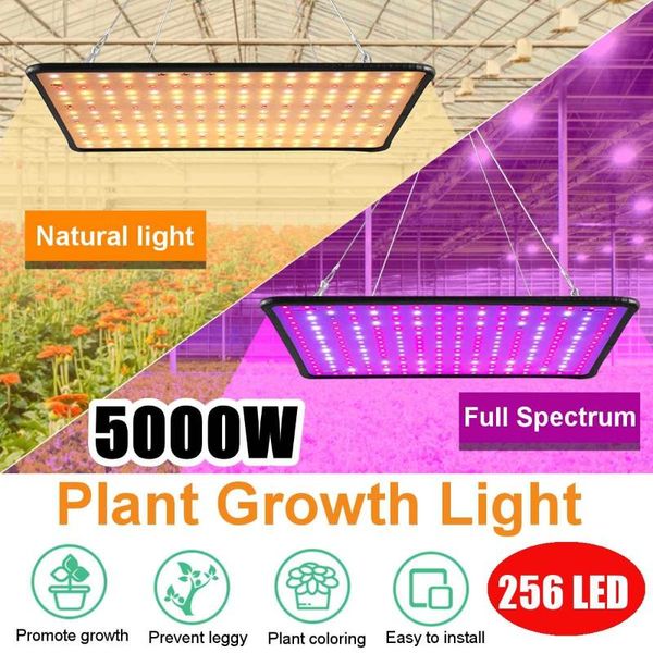 

grow light full spectrum led growing lamps ac85-265v 5000w plant growth lighting for plants flowers cultivation