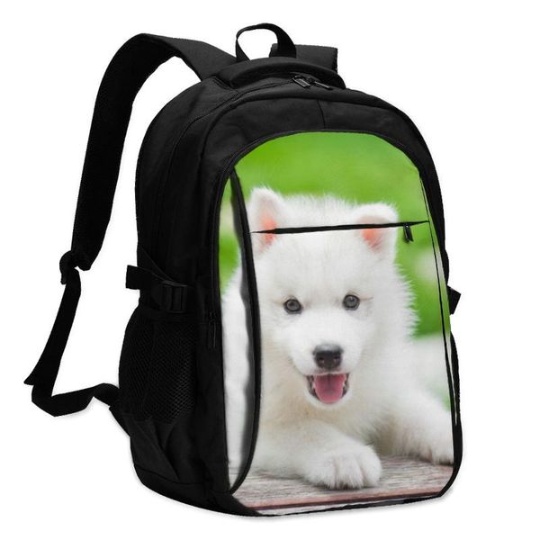 

backpack usb charging lapwomen's girls school cute siberian husky puppy playing in the park travel bagpack