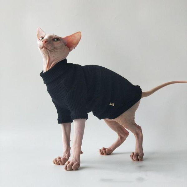 

cat costumes clothes hairless knitwear bottoming shirt air conditioning kitten devin t-shirt sphinx outfit