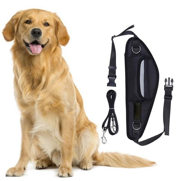 

pet puppy running waterproof waist bag sport running traction rope