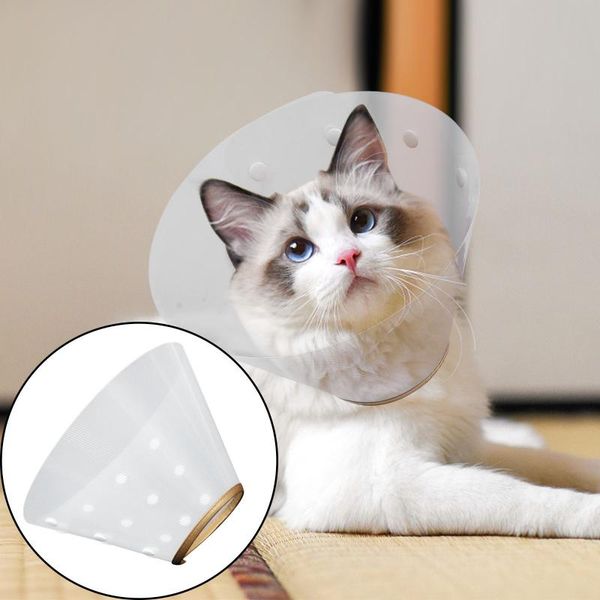 

cat collars & leads anti licking and scratch recovery collar adjustable cone after