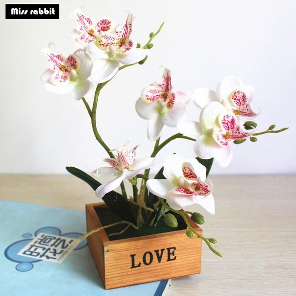 

decorative flowers & wreaths one set artificial butterfly orchid potted succulents plants home garden living room decoration fake