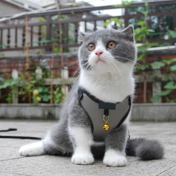 

cat carriers,crates & houses dog harness leash set pet vest type chest adjustable household