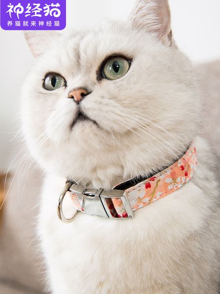 

cat brand chinese style collar tag cat necklace alloy buckle dog tag dog lost pet products