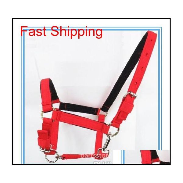 

adjustable horse halter bridle pony fixed rein belt durable horse riding accessories eq jllbbo trustbde