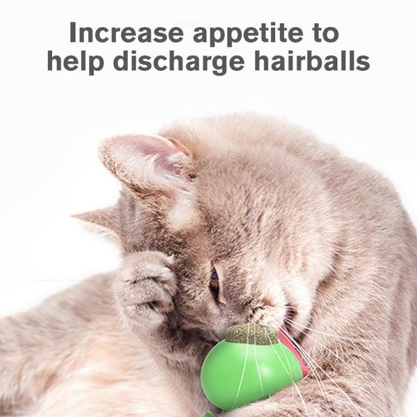 

cat toys tpr suction cup base edible kitty dental toy multifunctional funny improves appetite teeth cleaning