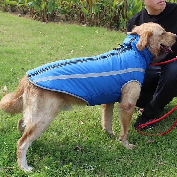

dog apparel autumn and winter pet clothes thickened outdoor charge supplies