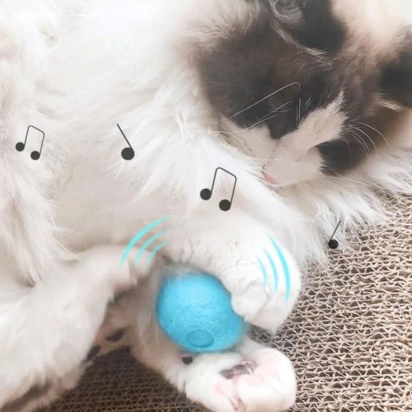 

cat toys interactive pet ball toy smart sounding chasing for cats kitten supplies*