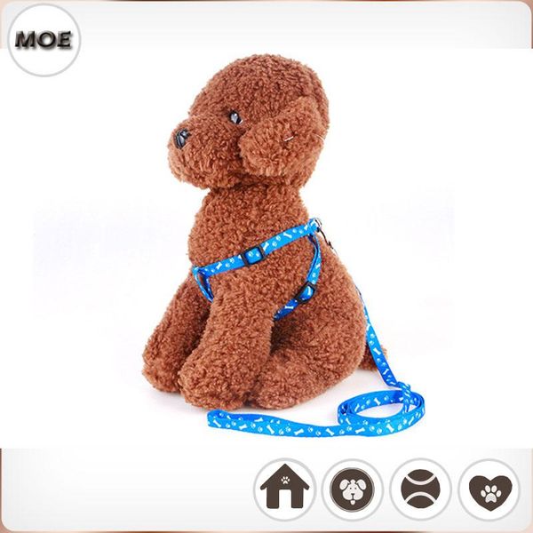 

dog collars & leashes 2021 five color cat adjust safety nylon leash rope walking accessories 11.11