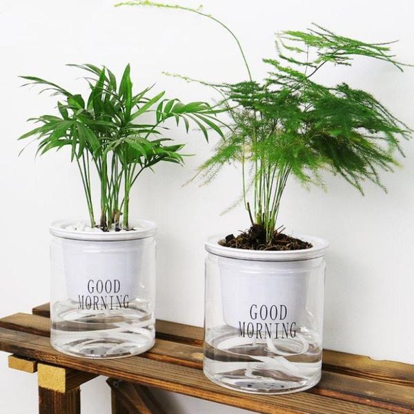 

planters & pots lazy self-watering flowerpot automatic water absorption succulent aquaculture transparent round plastic hydroponic