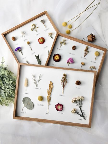 

frames nordic plant flowers dried flower specimen po frame diy handmade materials home decoration painting immortal