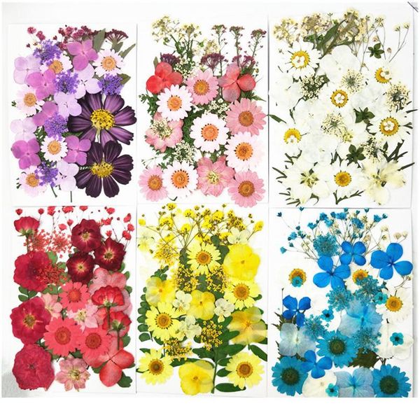 

pipifren pressed flowers small dried flowers scrapbooking dry diy preserved flower decoration home mini bloemen flor qyllqz