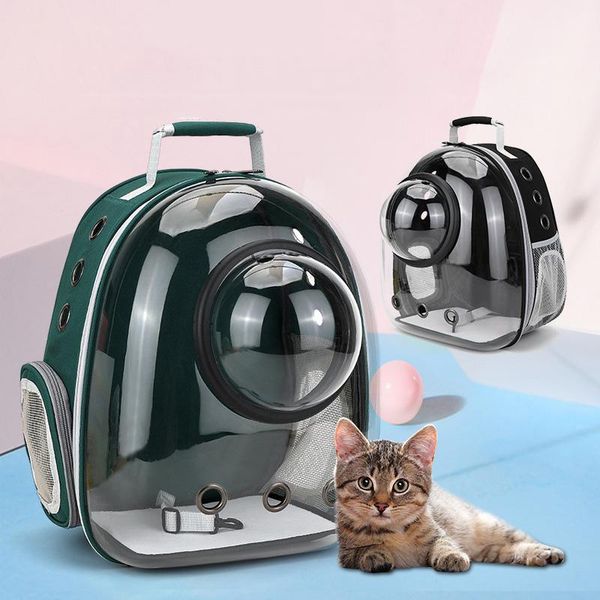 

backpack cat bag pet go out portable clear space supplies breathable