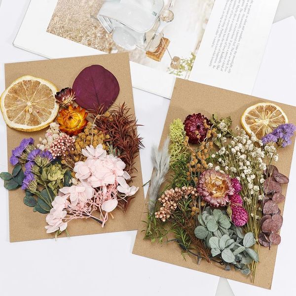 

1 box real dried flower dry plants for aromatherapy candle epoxy resin pendant necklace jewelry making craft diy acc jllyyo