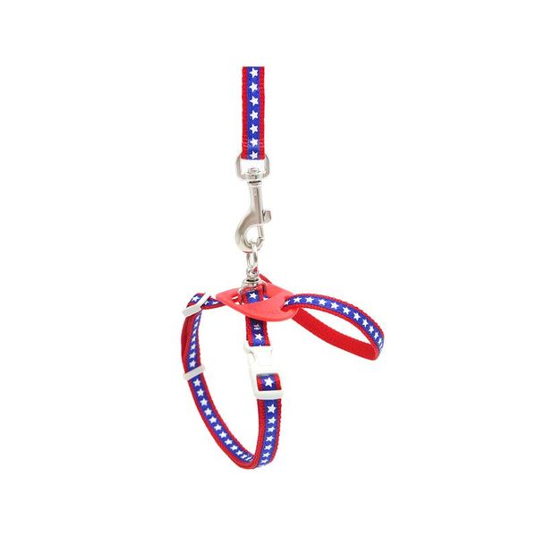 

cat collars & leads personalized luxury collar adjustable elastic anti flea japanese creative cute collier chat pet supplies oo50qy