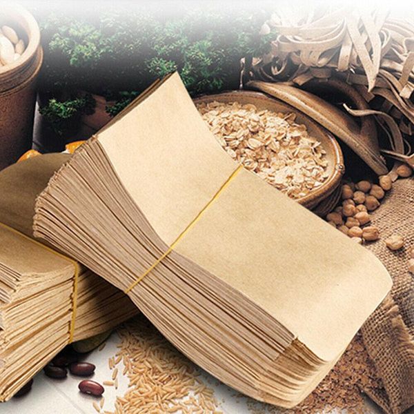 Plantadores POTS 100pcs Kraft Paper Brown Sacos de sementes de isolamento Pacote de saco/estilo de envelope vertical protetor