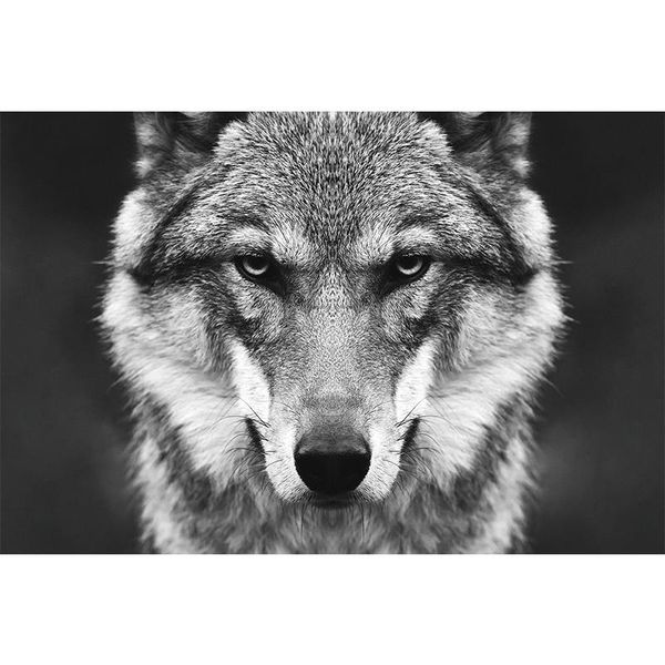 

diamond painting 5d diy animl wolf cross stitch full square round drill embroidery colorful handmade home room wall decor craft