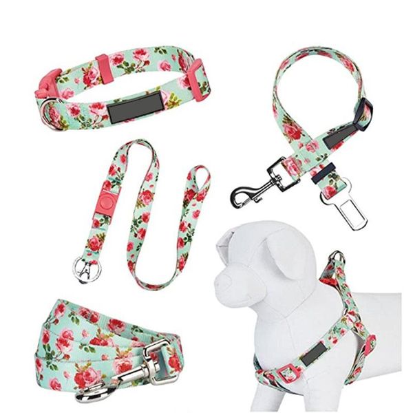 

pattern pet hand holding rope, selling products popular pet dog leash