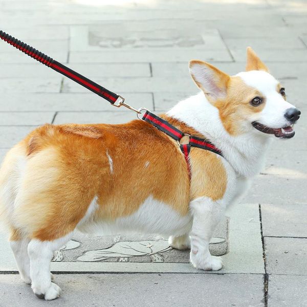 

dog collars & leashes chest and back traction belt harnesses leads double strap for dogs medium harness small collar leash set neck pet