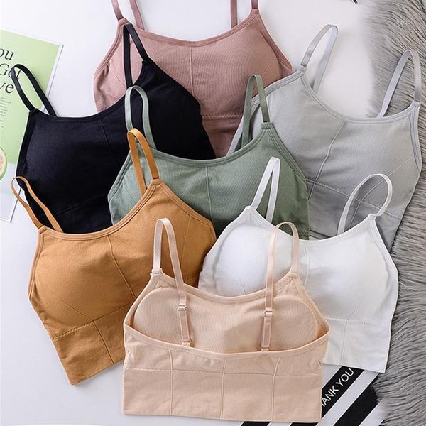 

sport woman bra breathable shockproof crop running fitness suit workout anti-sweat underwear women seamless vest yoga outfit