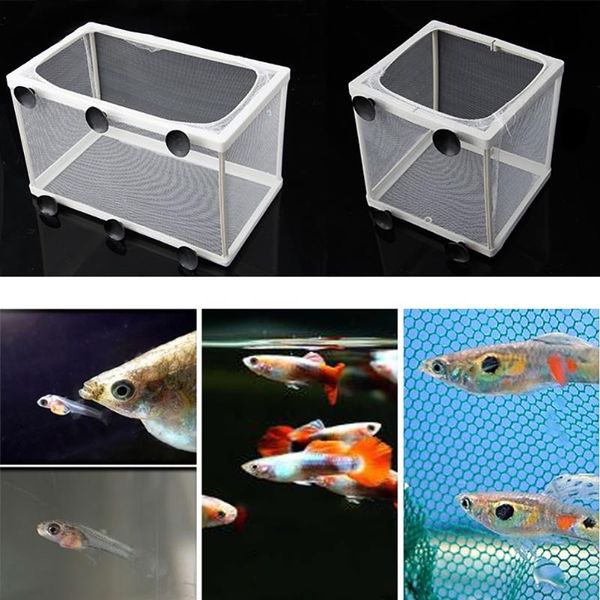 

aquariums fish tank aquarium guppy breeding breeder baby gauze trap box isolator s/l u7ed