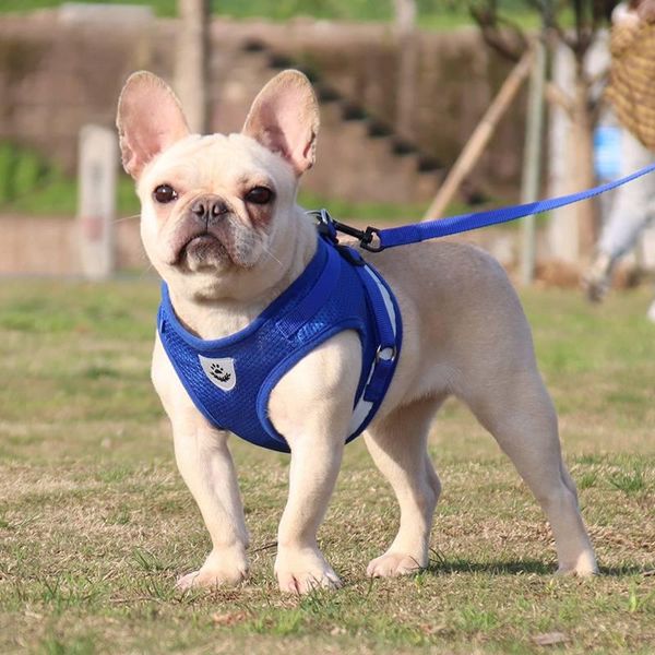 

dog collars & leashes chests strap for reflective no pull harness mesh vest arnes perro pequeno walking lead puppy polyester