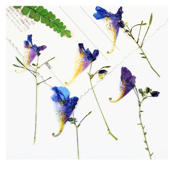 

16pcs,new natural pressed real touch dried flower impatiens balsamina,diy wedding invitation gift card scented candle de qylmoi