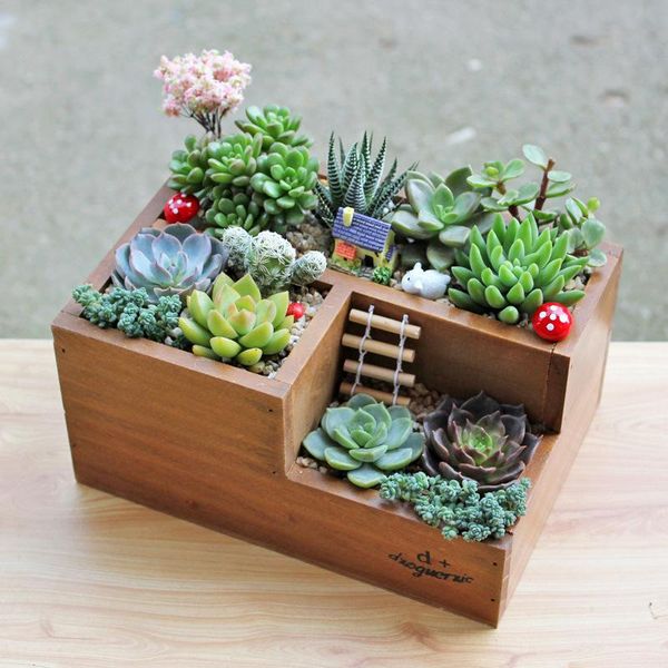

wooden flowerpot flower pots succulent plants nursery planter solid wood plant vase gardening three grid craft bonsai garden
