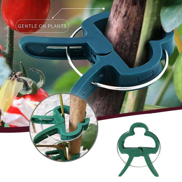 

other garden supplies farm vegetable climbing plant crop vine fixing clip 2021