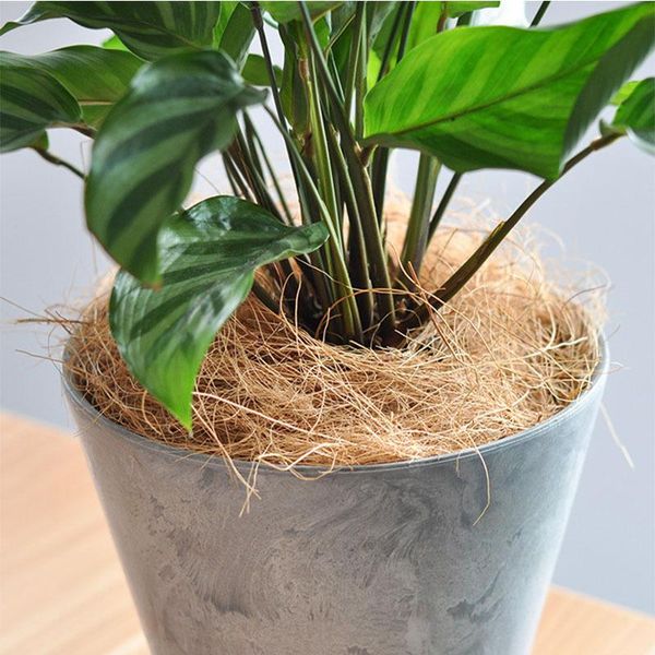 

decorative flowers & wreaths 1pc natural coconut fiber for bird nest coco liner reptile bedding material home gardening cultivation planting