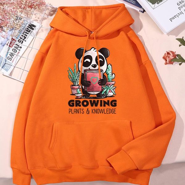 

men's hoodies & sweatshirts happy panda and succulents cartoon printing men women oversized o-neck soft harajukua all-match hoodied, Black