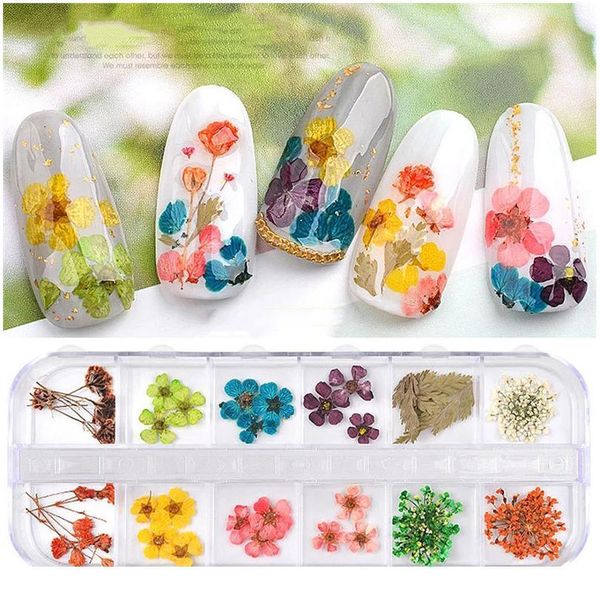 

1 box real dried ammi majus flower dry plants for epoxy resin pendant necklace jewelry making craft diy acc jllgqw