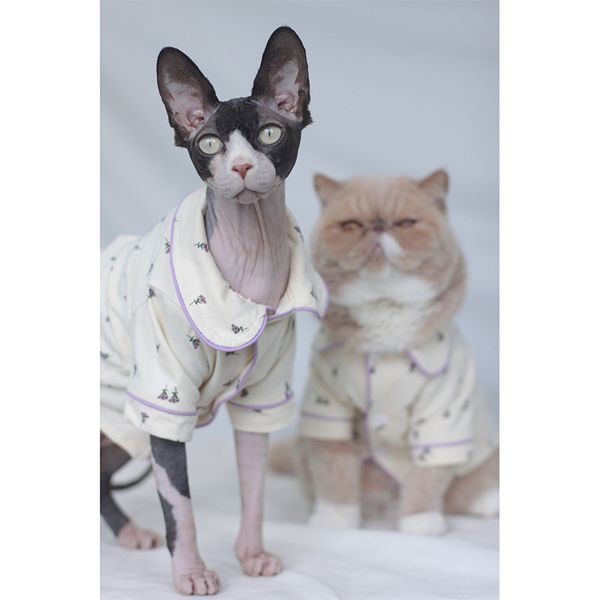

pet cat dog cloth shirt hairls small bome teddy marquis yorkshire spring and autumn